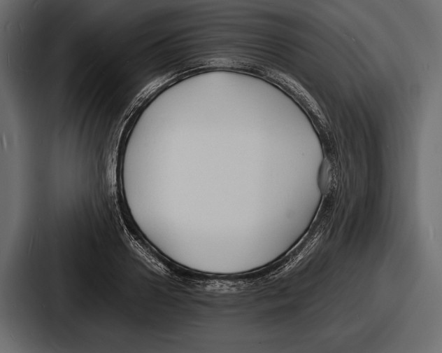 X0000086720938200705111552