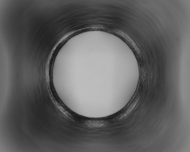 X0000086720939200705111552