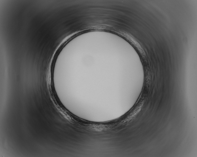 X0000086720940200705111552