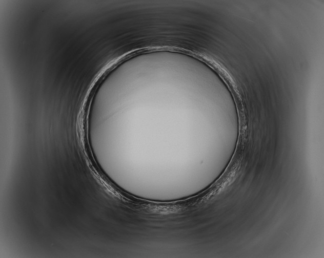 X0000086720941200705111552