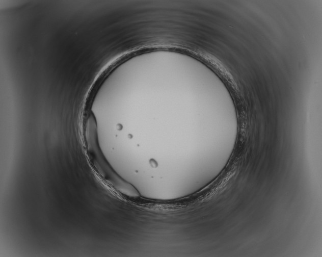 X0000086720942200705111552