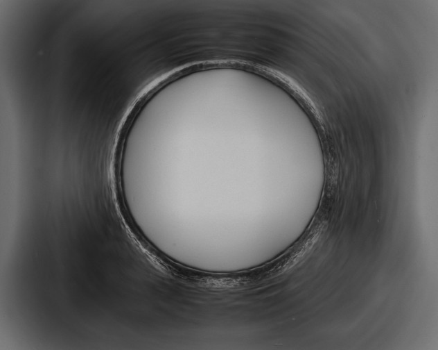 X0000086720943200705111552