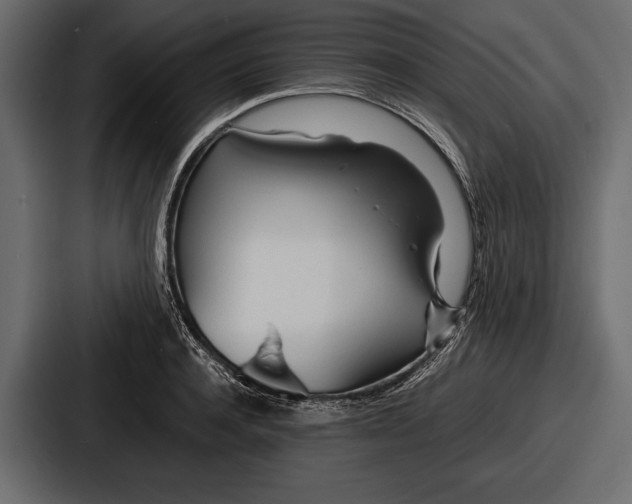 X0000086720944200705111552