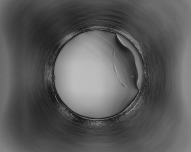 X0000086720945200705111552