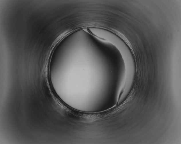 X0000086720946200705111552