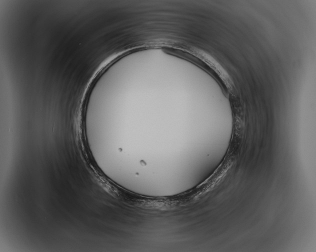 X0000086720948200705111552