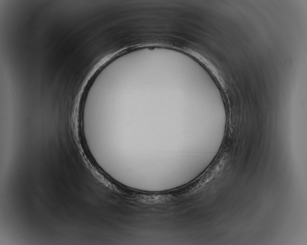 X0000086720949200705111552