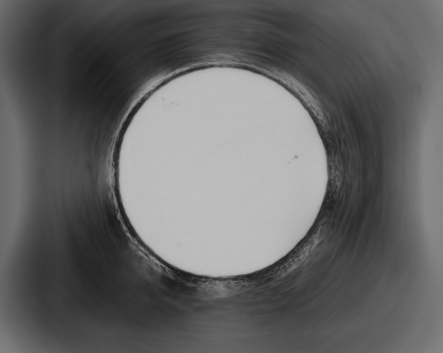 X0000086720950200705111552