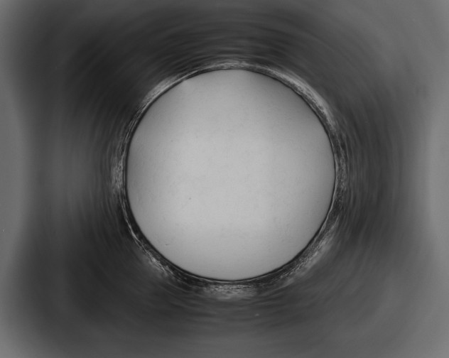 X0000086720953200705111552