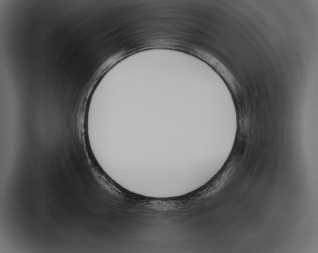 X0000086720954200705111552