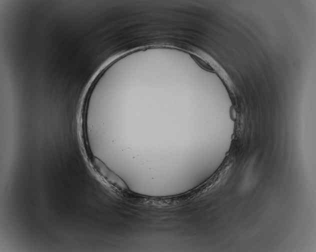 X0000086720955200705111552