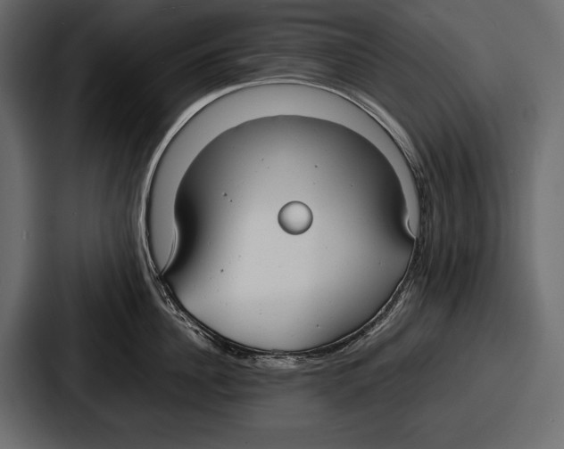 X0000086720956200705111552