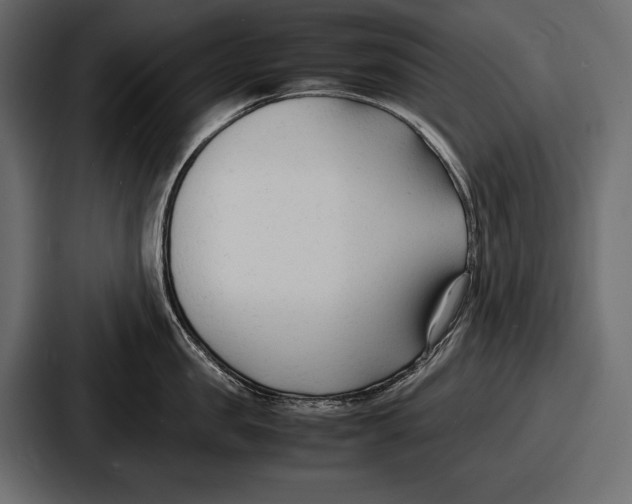 X0000086720957200705111552