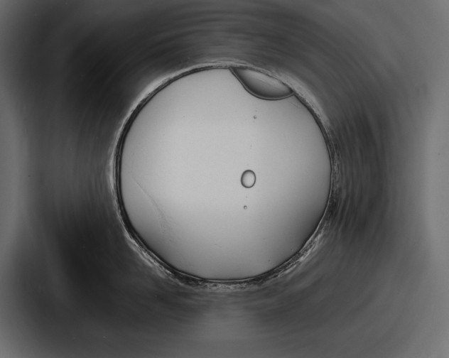 X0000086720958200705111552