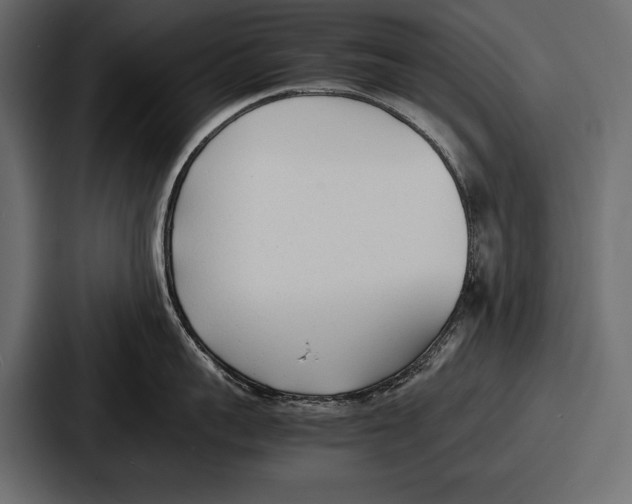 X0000086720959200705111552