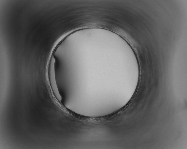 X0000086720960200705111552