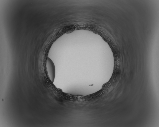 X0000086720961200705111552