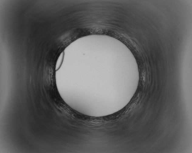 X0000086720964200705111552