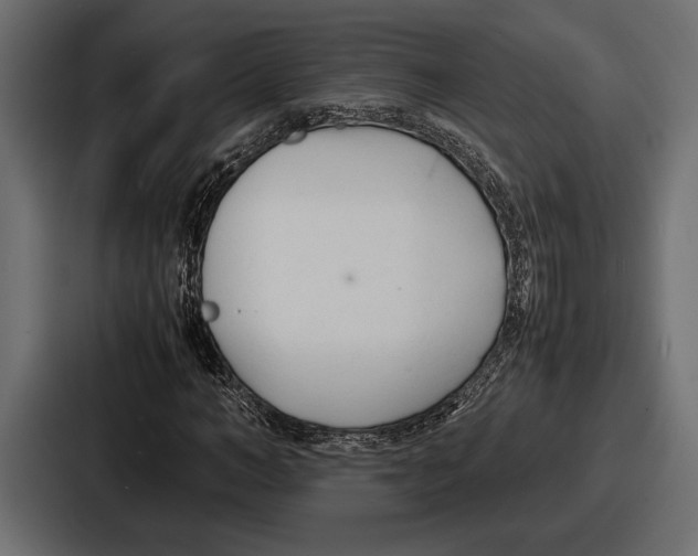 X0000086720966200705111552