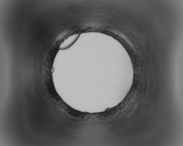 X0000086720967200705111552