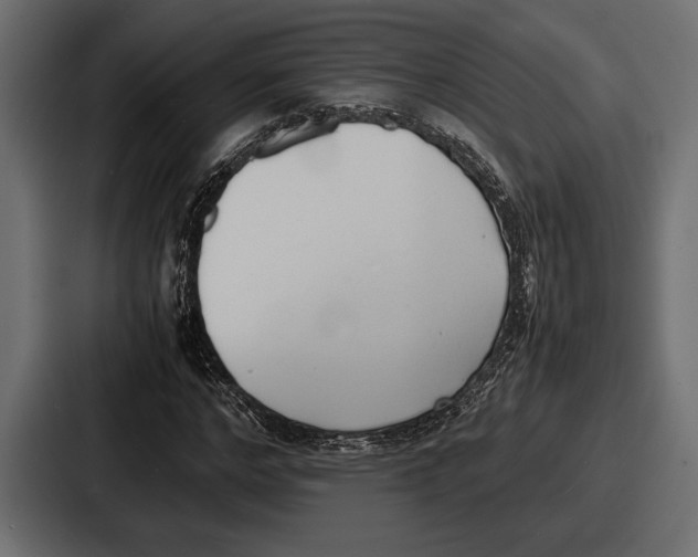 X0000086720968200705111552