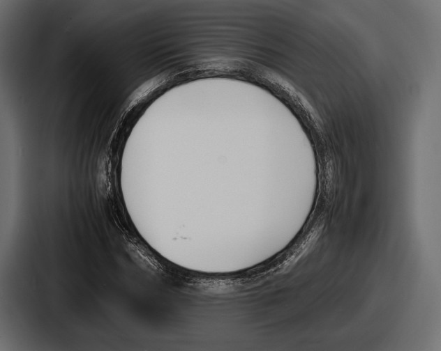 X0000086720970200705111552