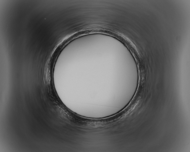 X0000086720973200705111551