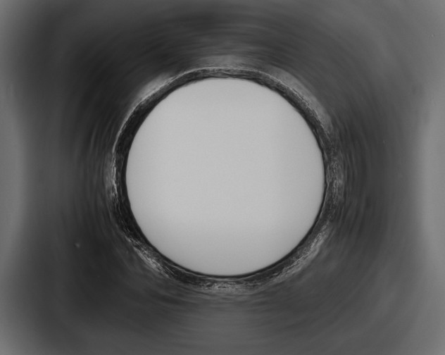 X0000086720974200705111551