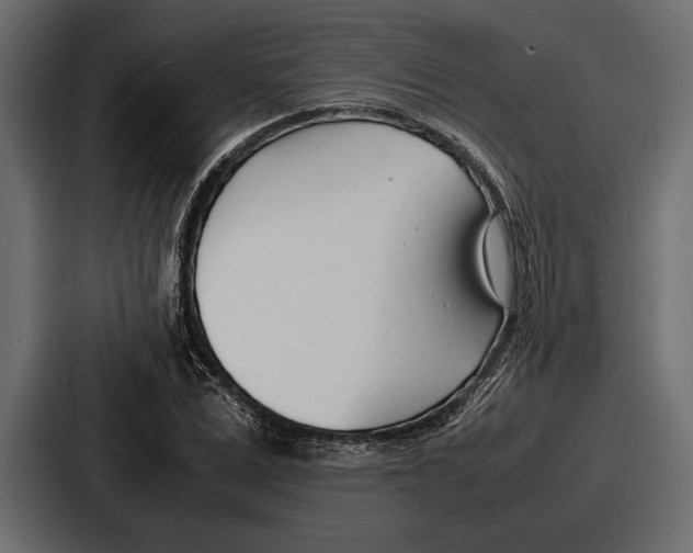 X0000086720975200705111551