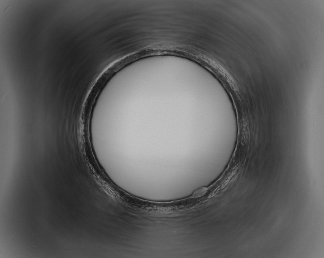 X0000086720976200705111551