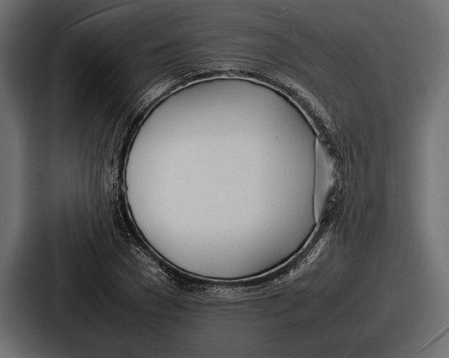 X0000086720977200705111551