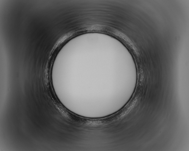 X0000086720978200705111551