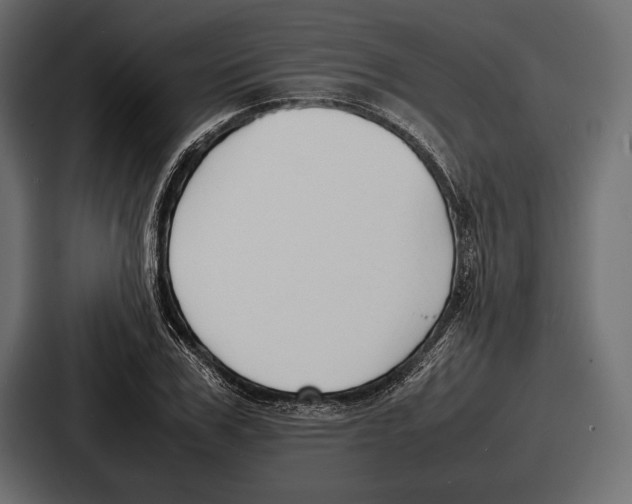 X0000086720979200705111551