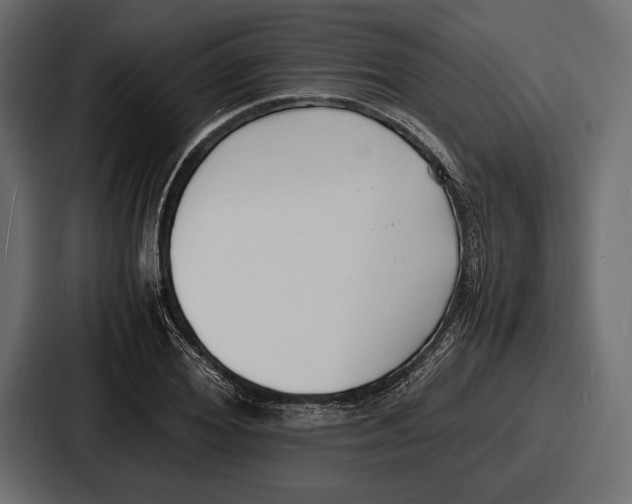 X0000086720980200705111551