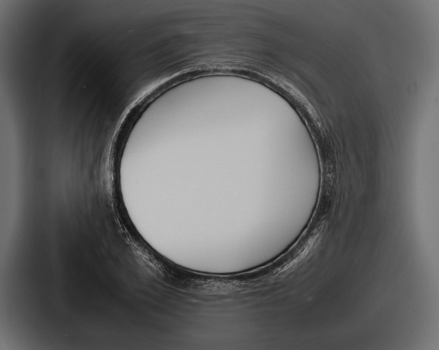 X0000086720981200705111551