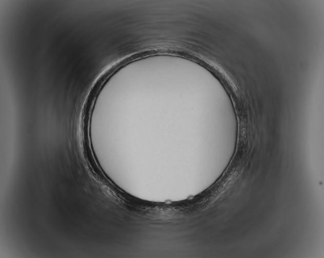 X0000086720983200705111551