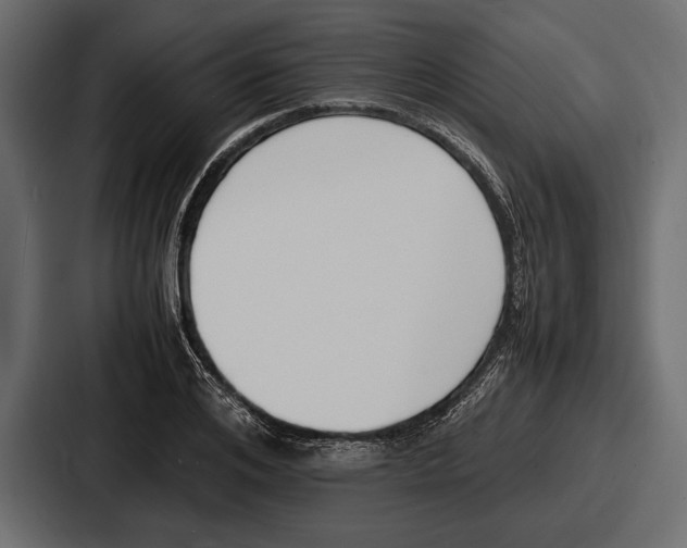 X0000086720984200705111551