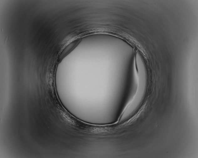 X0000086720985200705111551