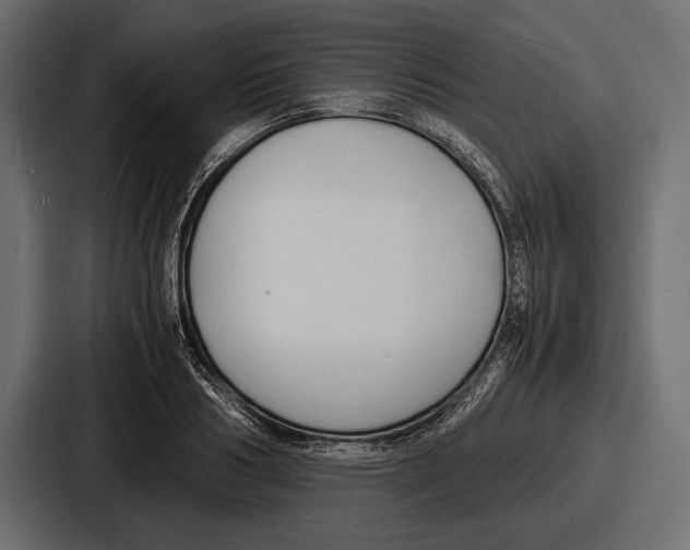 X0000086720986200705111551