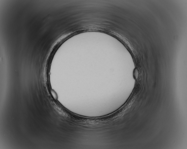 X0000086720987200705111551