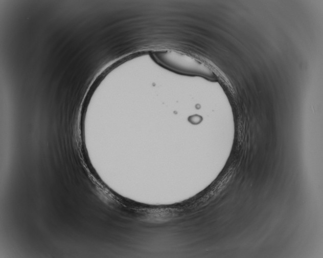 X0000086720988200705111551