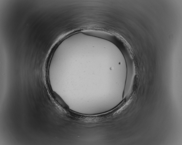 X0000086720989200705111551