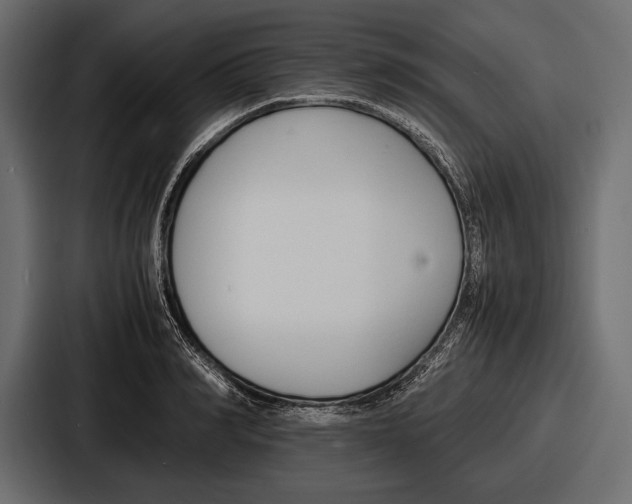 X0000086720990200705111551