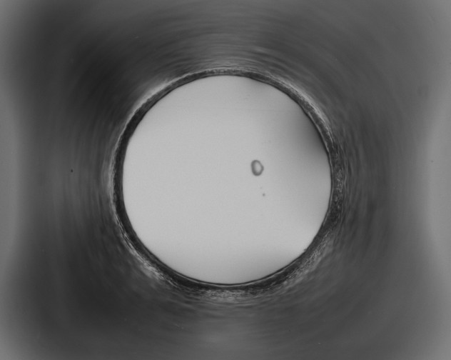 X0000086720991200705111551