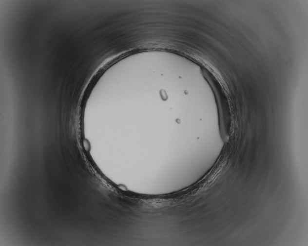 X0000086720992200705111551