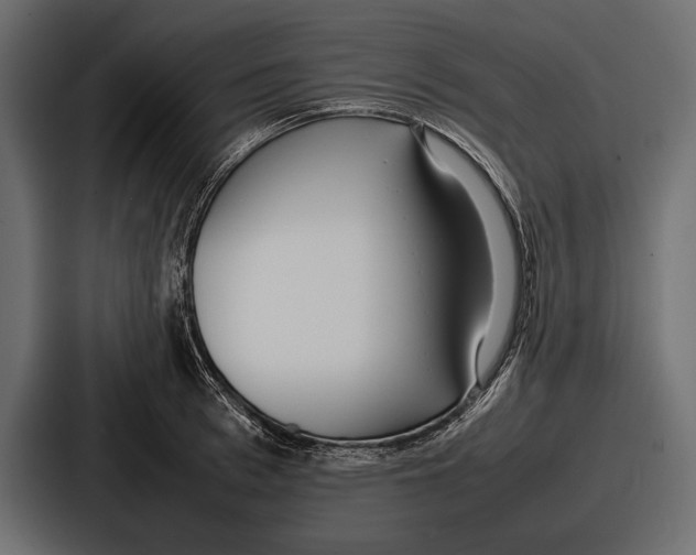 X0000086720993200705111551