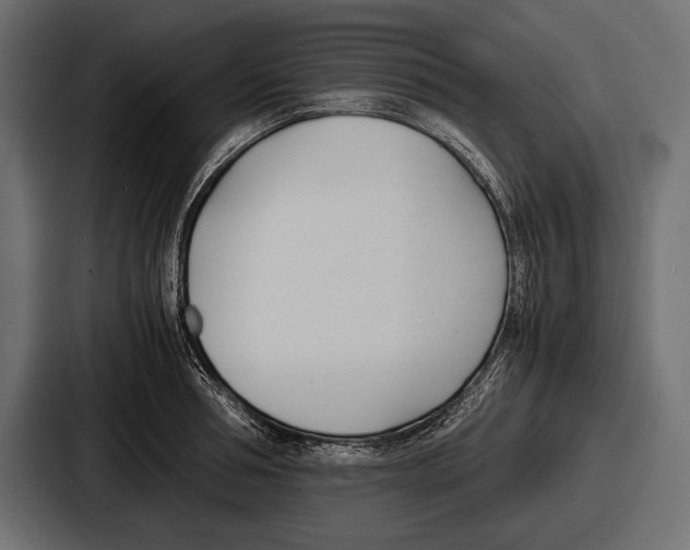 X0000086720994200705111551