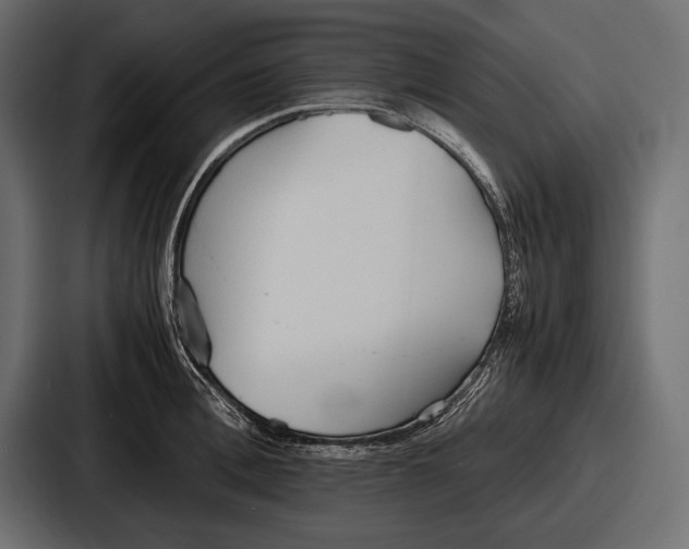 X0000086720996200705111551