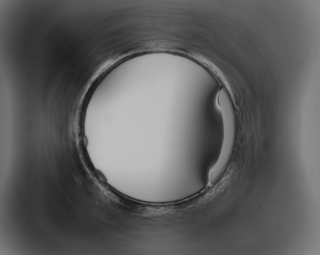 X0000086720997200705111551