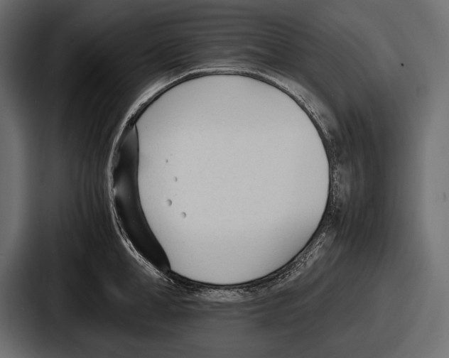 X0000086720998200705111551